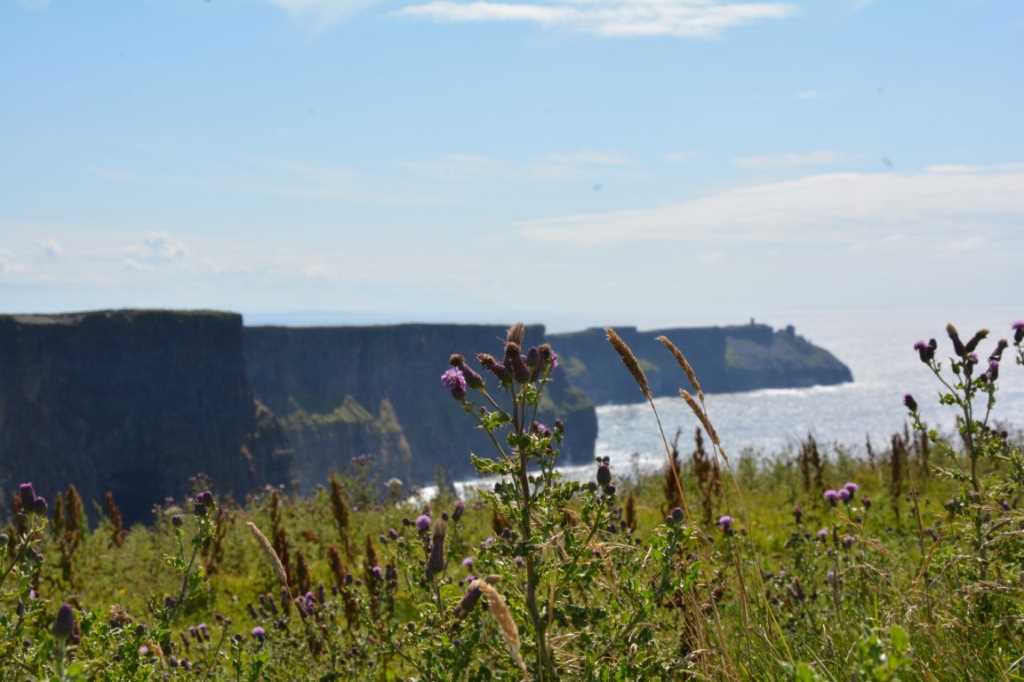 DSC_5616Mittel_.JPG